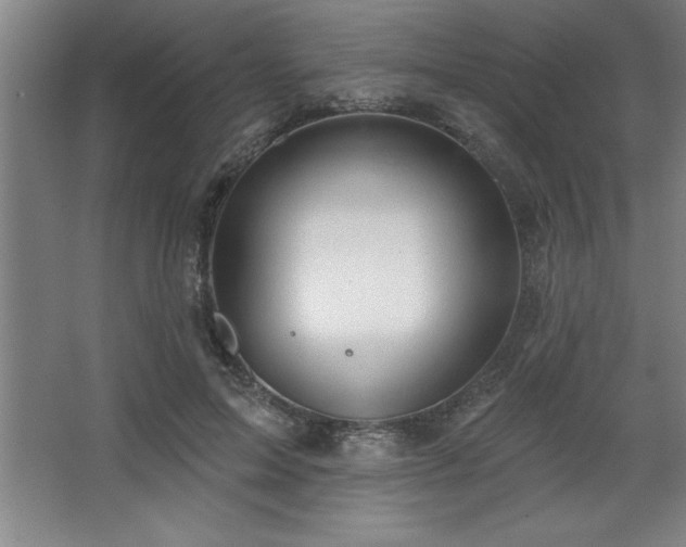 X0000068720599200605010935