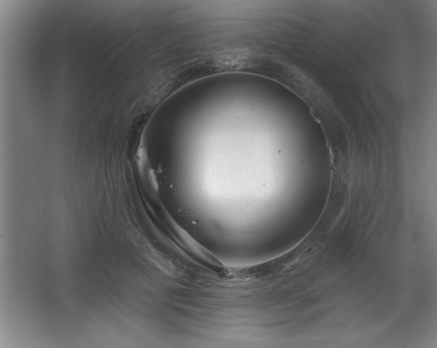 X0000068720601200605010935