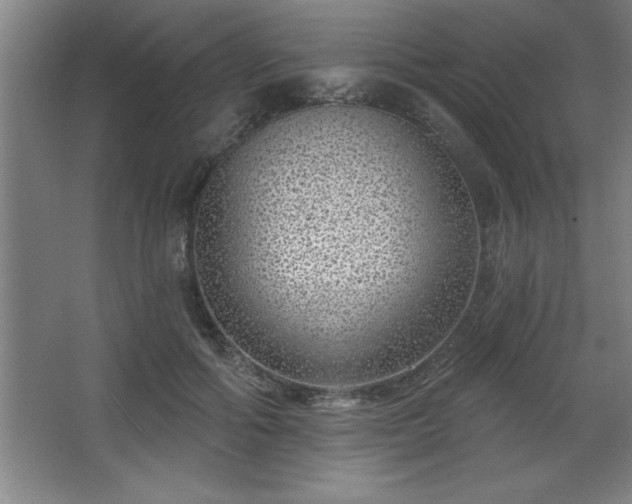 X0000068720602200605010935