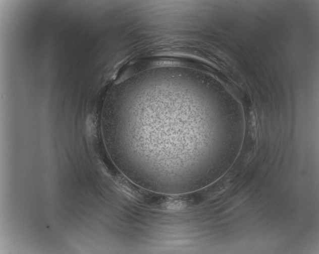 X0000068720604200605010935