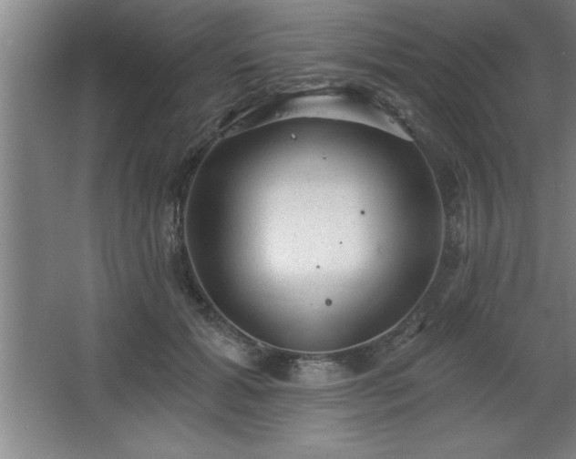 X0000068720605200605010935