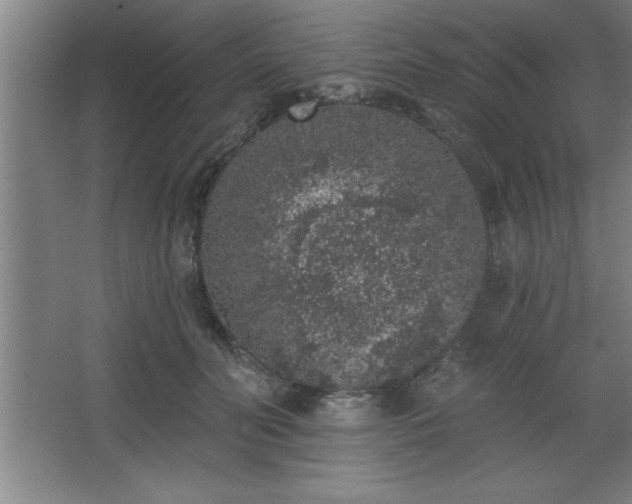 X0000068720606200605010935