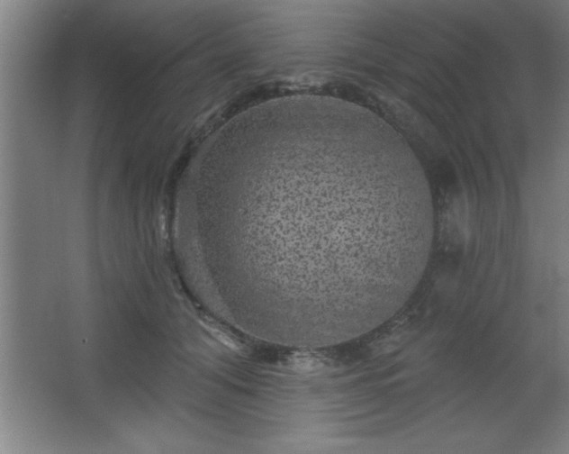 X0000068720608200605010935