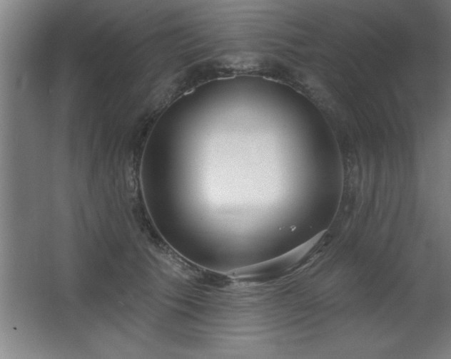 X0000068720609200605010935