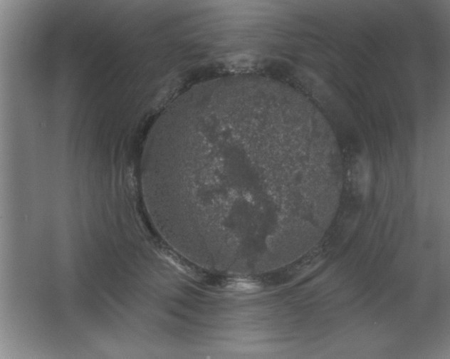 X0000068720610200605010935