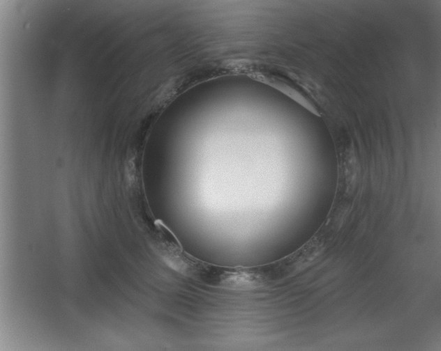 X0000068720611200605010935