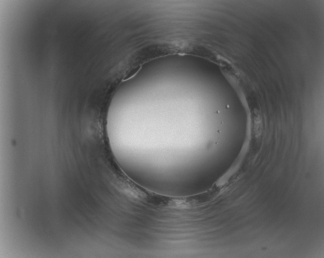 X0000068720613200605010935