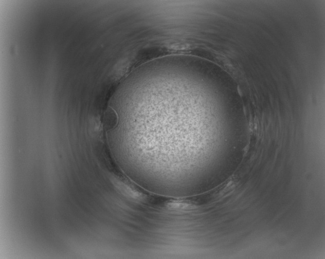 X0000068720614200605010935