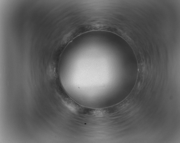 X0000068720615200605010935