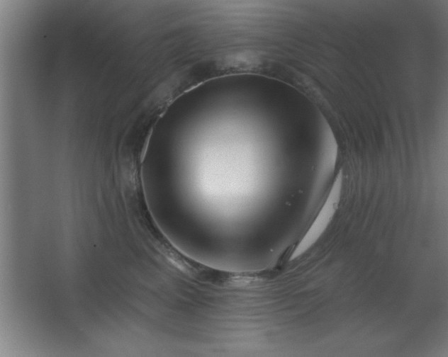 X0000068720617200605010935