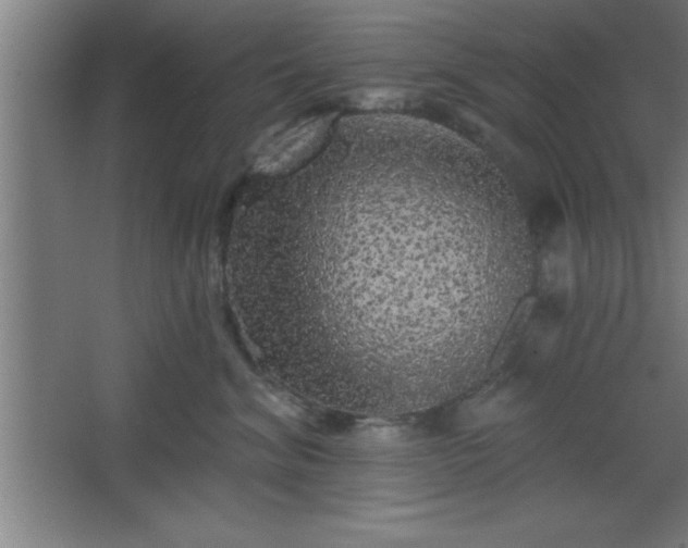 X0000068720620200605010935