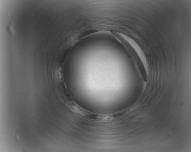 X0000068720621200605010935