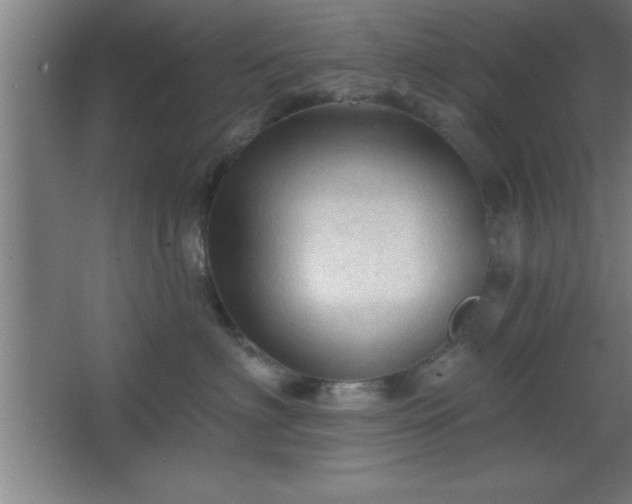 X0000068720622200605010935