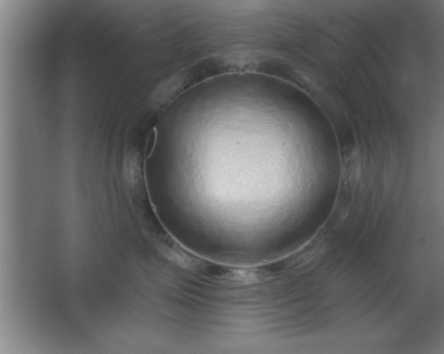 X0000068720623200605010935