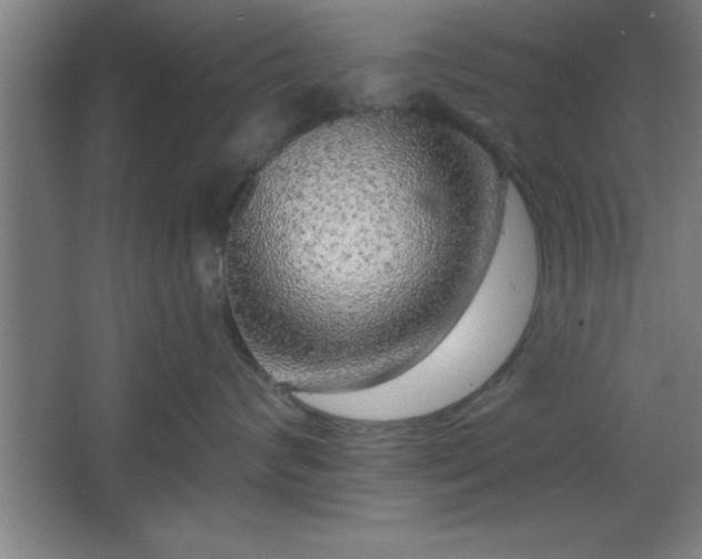 X0000068720624200605010935