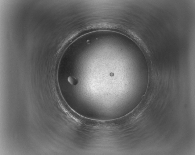 X0000068720625200605010934