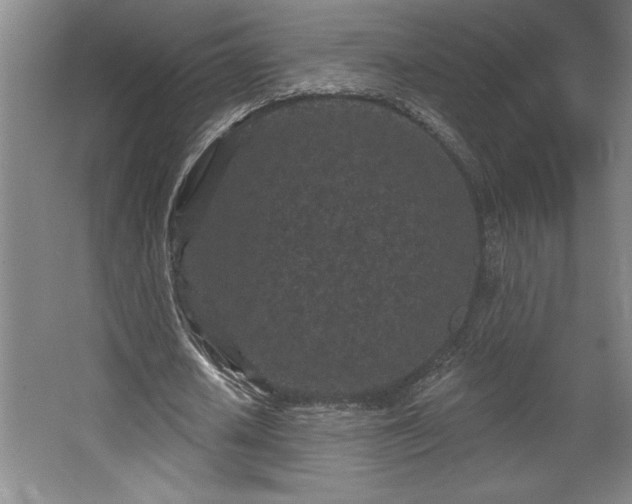 X0000068720626200605010934