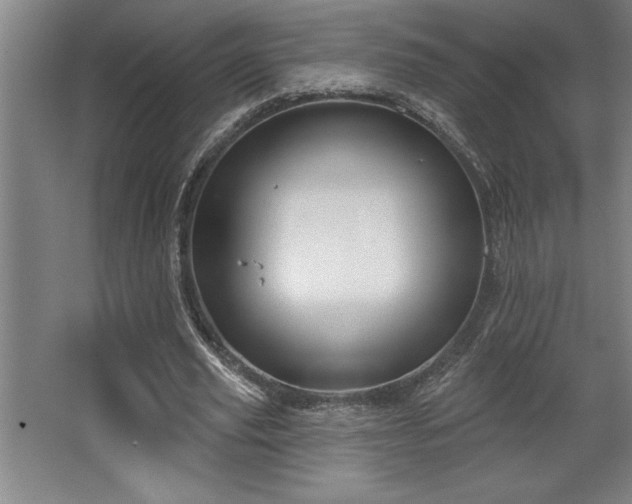 X0000068720629200605010934