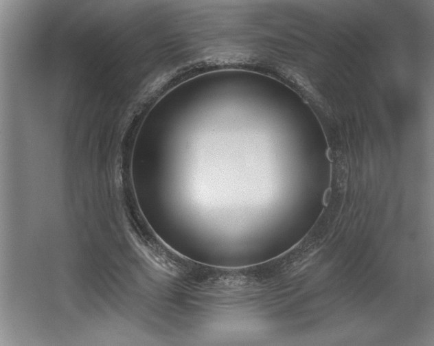 X0000068720631200605010934