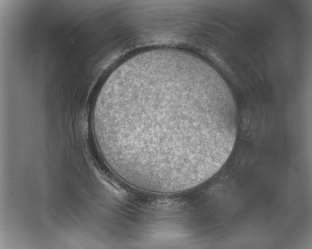 X0000068720632200605010934