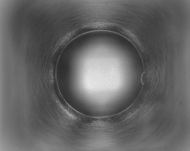 X0000068720633200605010934