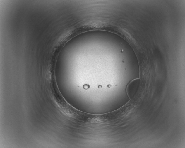 X0000068720635200605010934