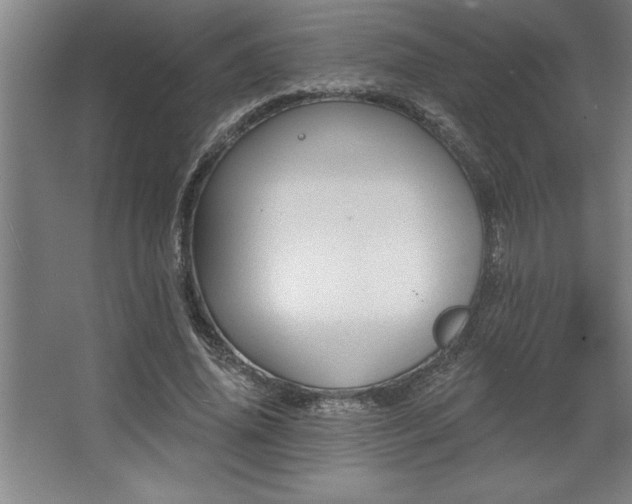 X0000068720636200605010934