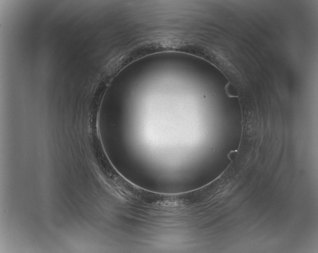 X0000068720639200605010934