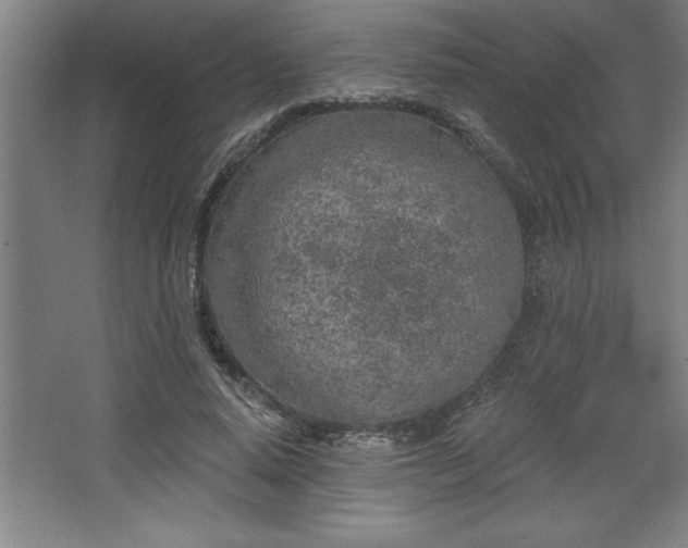 X0000068720640200605010934