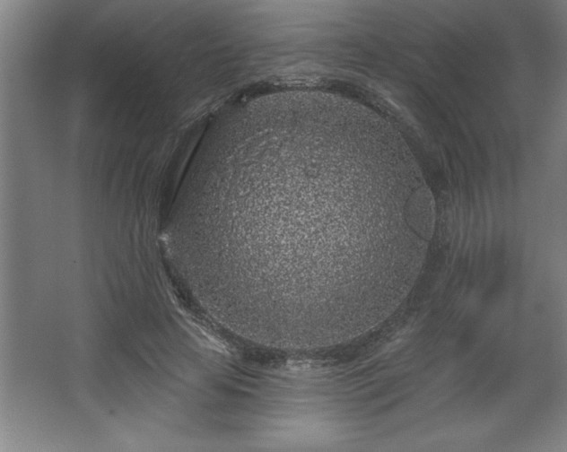 X0000068720641200605010934