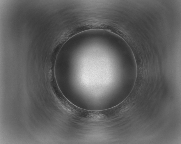 X0000068720642200605010934