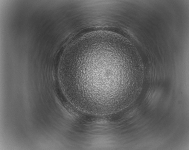 X0000068720643200605010934