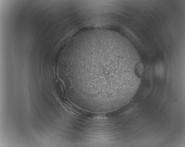 X0000068720644200605010934