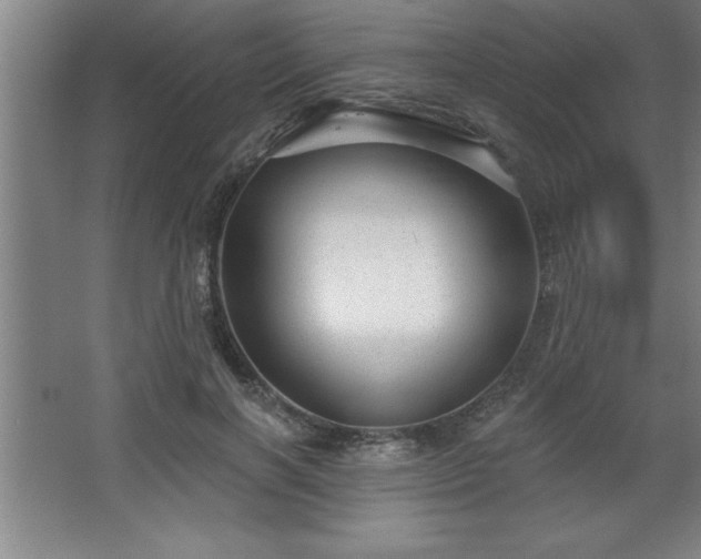 X0000068720646200605010934