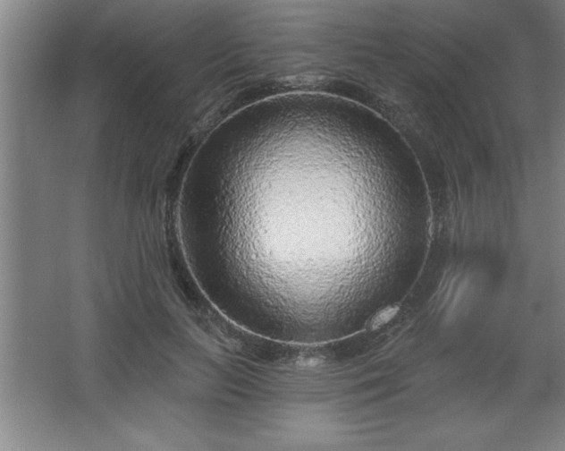 X0000068720647200605010934