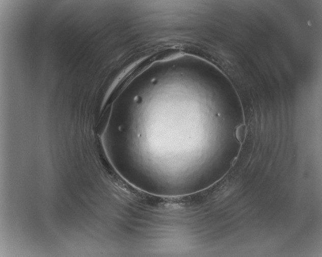 X0000068720649200605010934