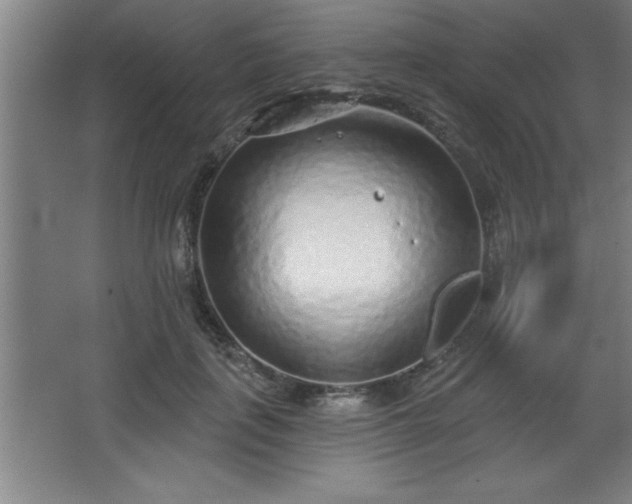 X0000068720651200605010934