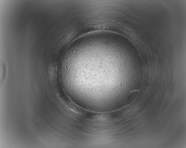 X0000068720652200605010935