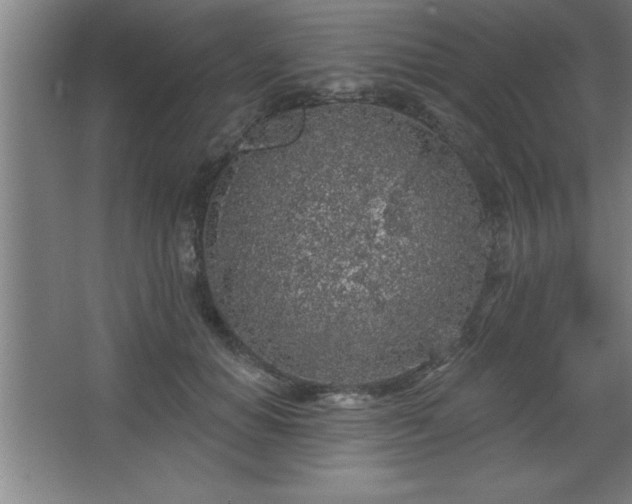 X0000068720654200605010935