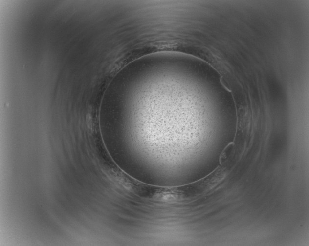 X0000068720655200605010935