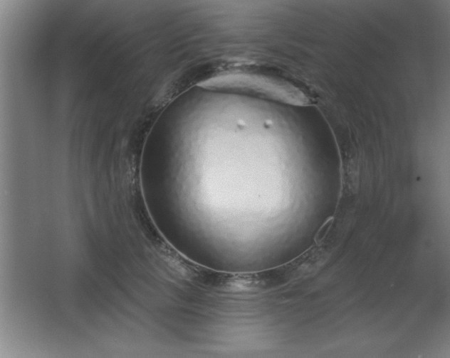 X0000068720657200605010935