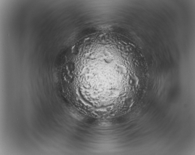 X0000068720658200605010935