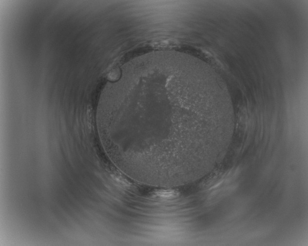 X0000068720659200605010935