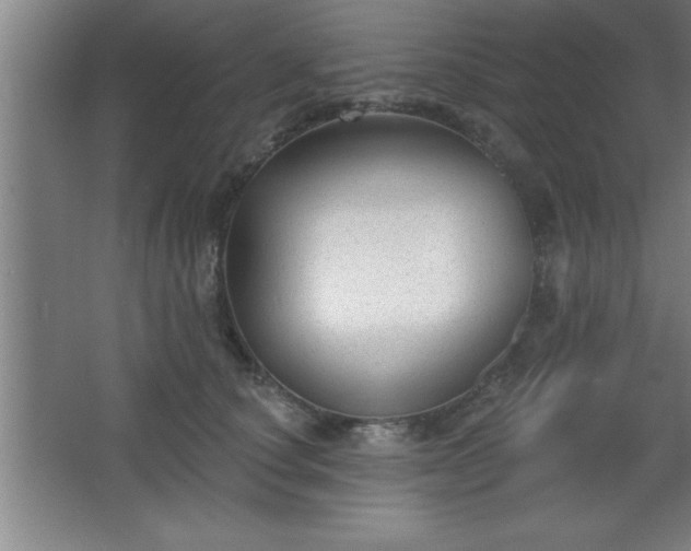 X0000068720660200605010935