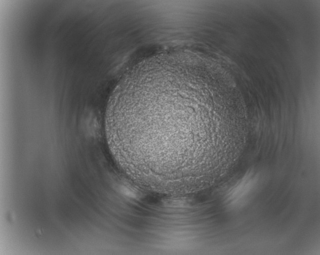 X0000068720661200605010935