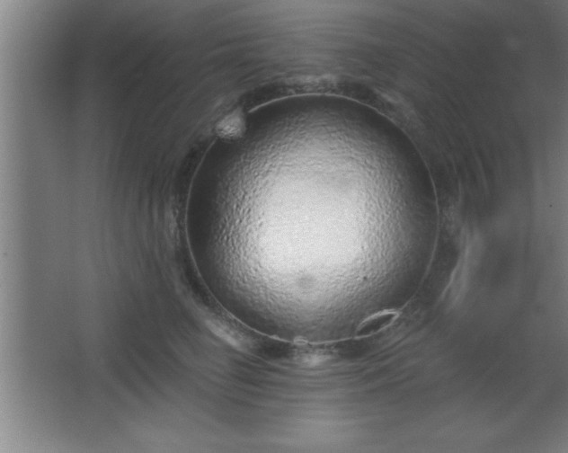 X0000068720662200605010935