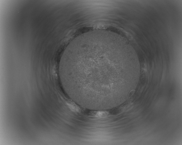 X0000068720663200605010935