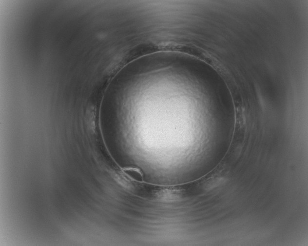 X0000068720664200605010935