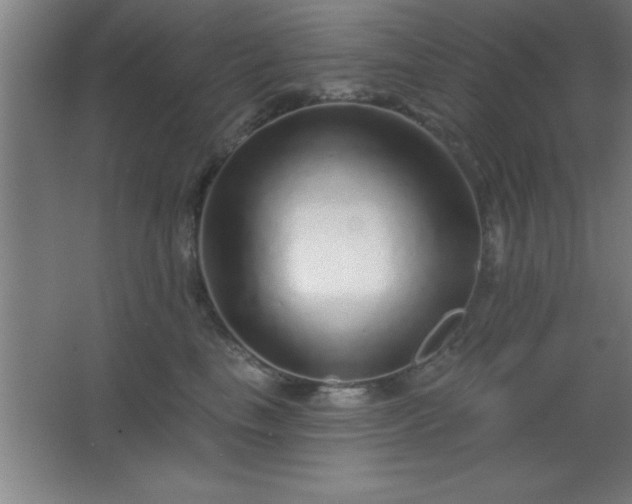 X0000068720665200605010935