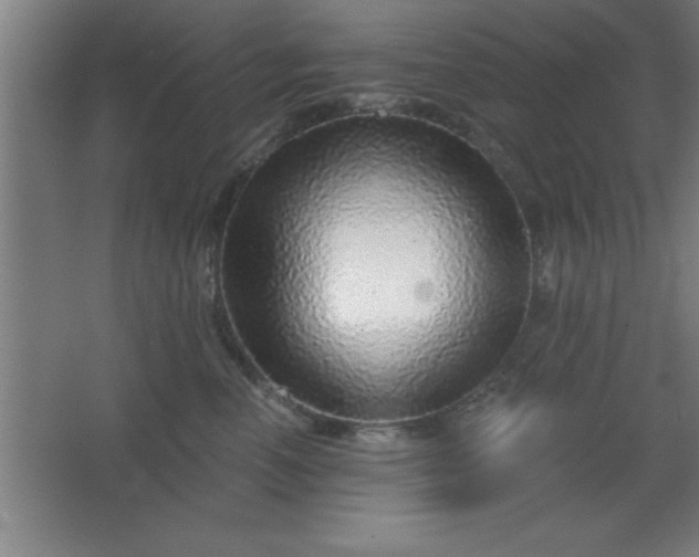 X0000068720666200605010935